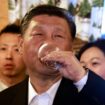 Emmanuel Macron, neige, porc noir… Retour sur la visite de Xi Jinping dans les Hautes-Pyrénées